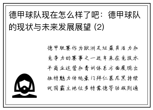 德甲球队现在怎么样了吧：德甲球队的现状与未来发展展望 (2)